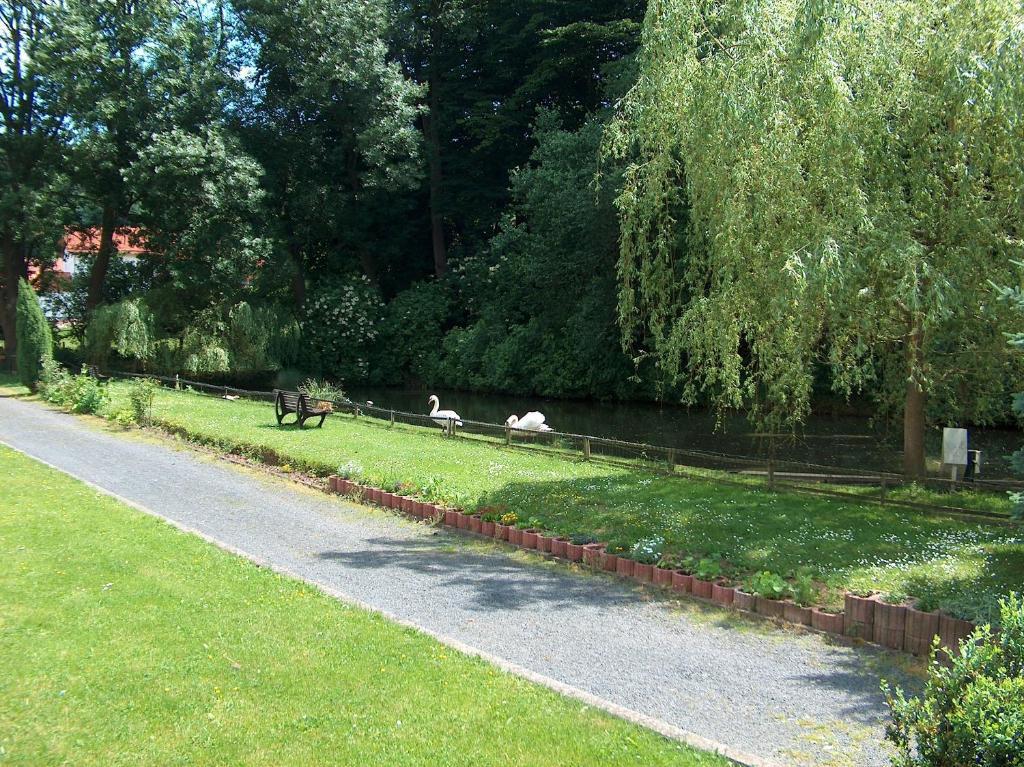 Landhotel & Restaurant Gutsherrn-Klause Dankerode  Exterior foto